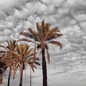 Meet your Posher, Joy